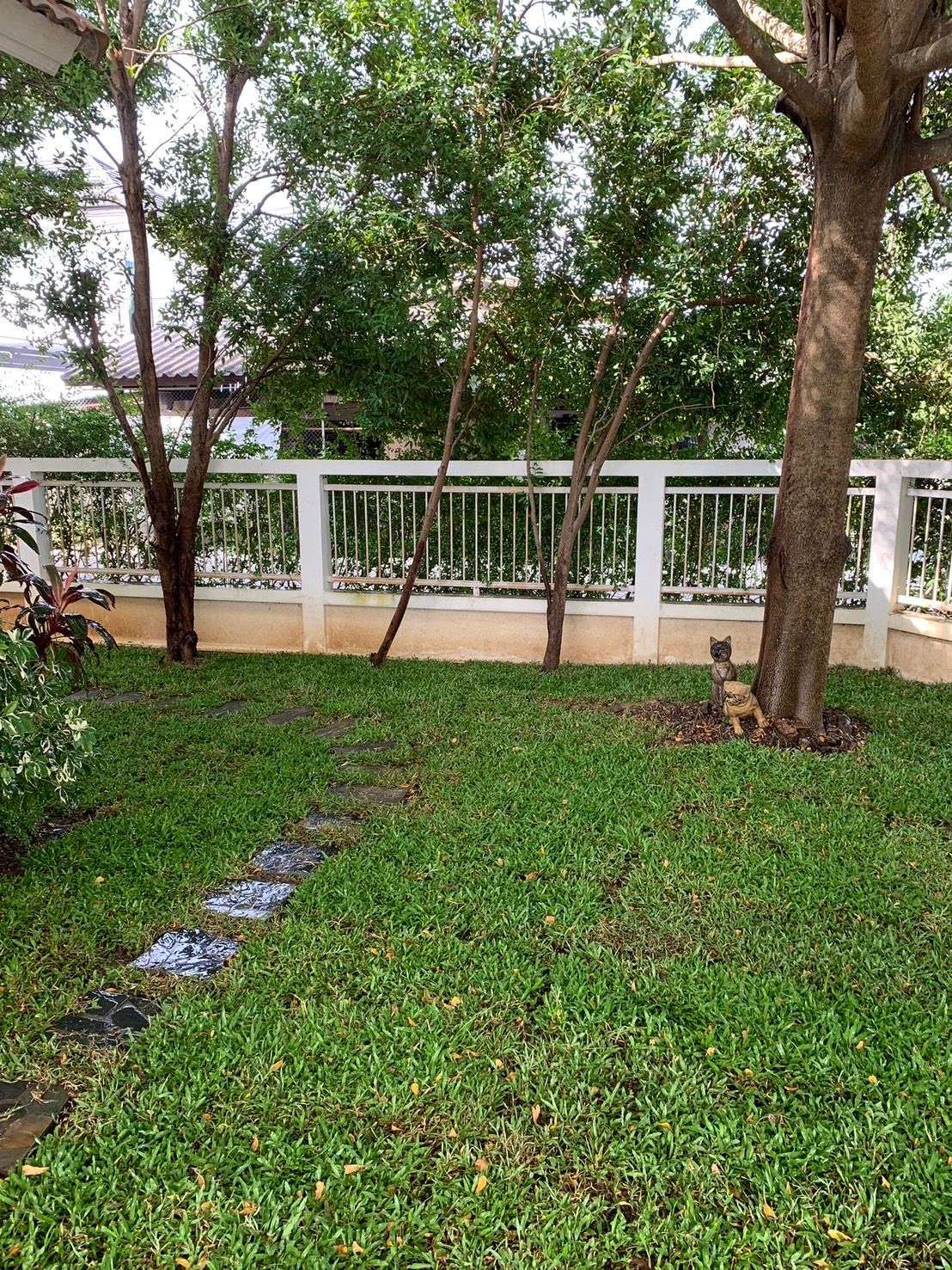 uploads/efe1bc97-da39-4732-9026-bc1cbf882b7a/d425283c-1be1-4e79-af11-c466521c0a6d