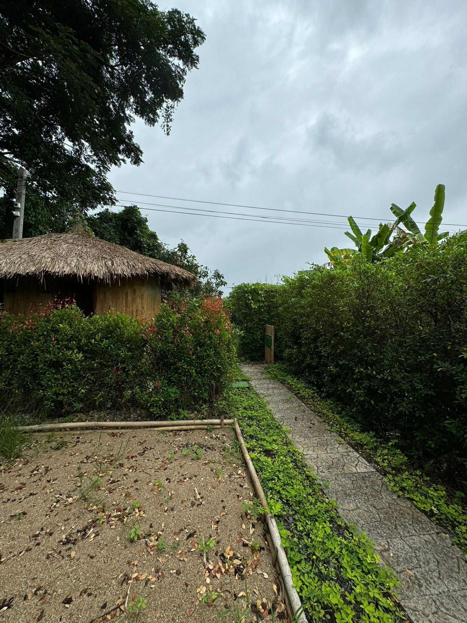 2 Bedroom House For Sale in Yu Wa, San Pa Tong, Chiang Mai - Image 12