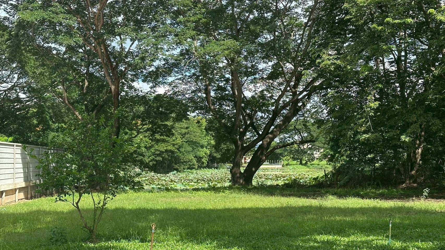 2 Bedroom House For Sale in Tha Wang Tan, Saraphi, Chiang Mai - Image 15