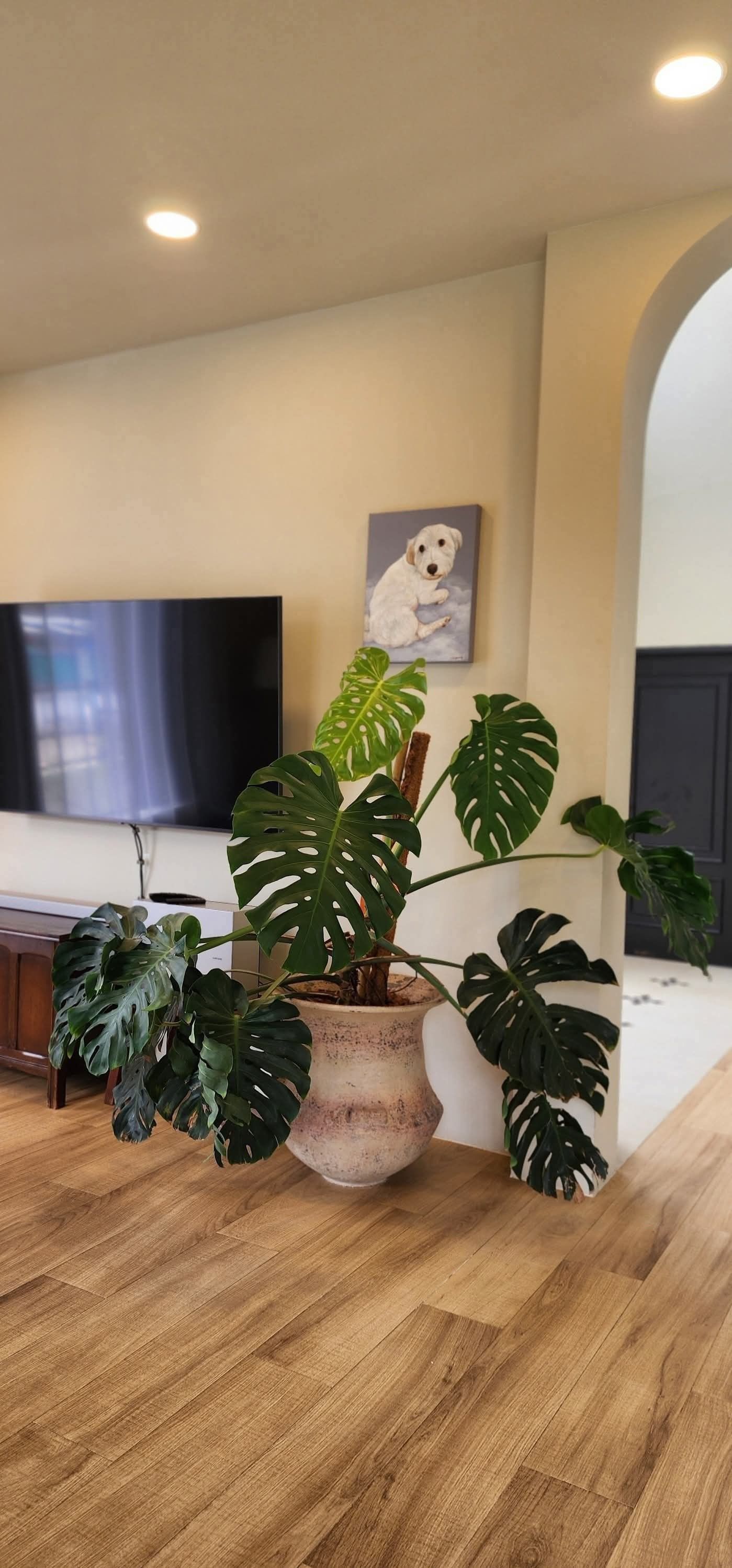 uploads/fd6bd717-700b-4a1c-8bbd-e097bbce9e68/0e4f220e-fad9-410c-9f7c-c84bdbe7f3e7