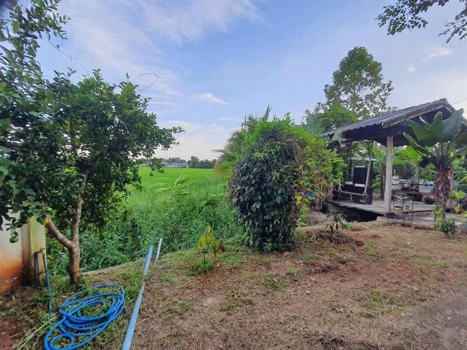 4 Bedroom House For Rent in Samran Rat, Doi Saket, Chiang Mai - Image 16