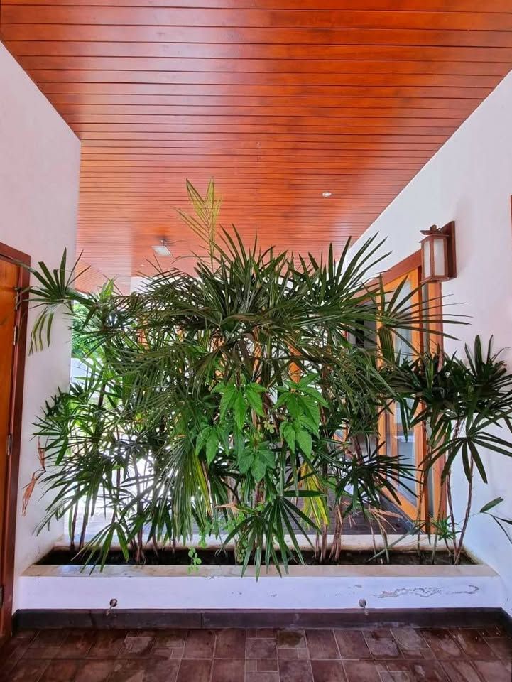 uploads/fd6bd717-700b-4a1c-8bbd-e097bbce9e68/41b68b78-fa40-40a0-932e-dbccd6624caa