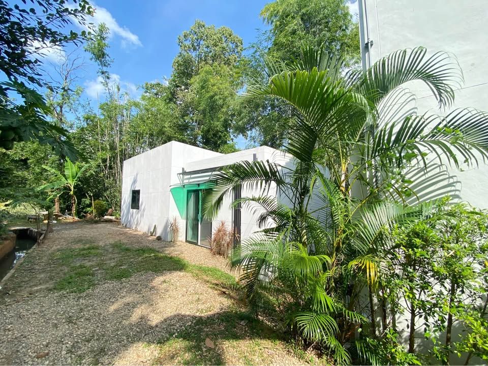 3 卧室 独立房屋 出租 在  - Image 14