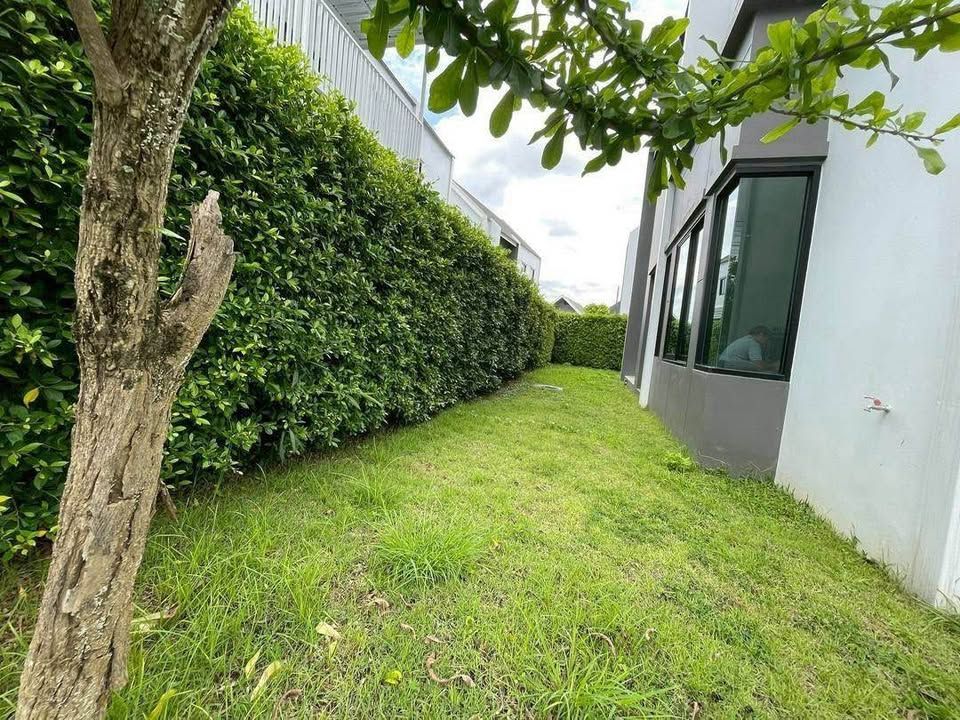 4 Bedroom House For Rent in Pa Phai, San Sai, Chiang Mai - Image 11