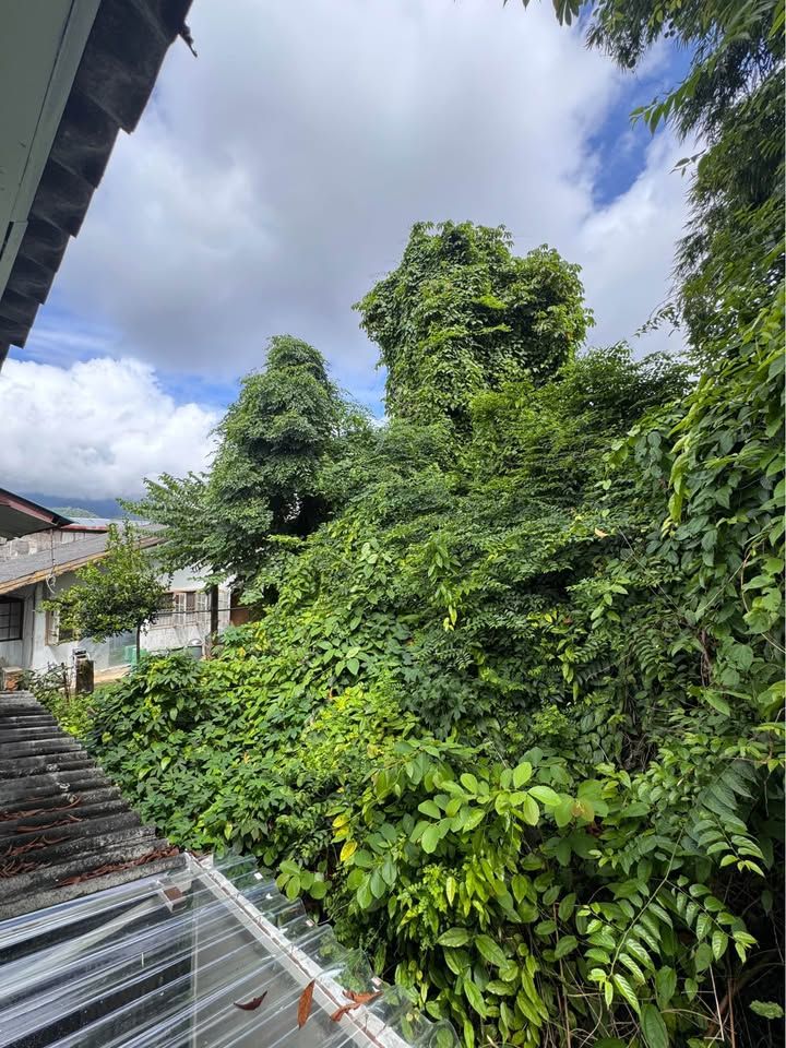 uploads/fd6bd717-700b-4a1c-8bbd-e097bbce9e68/5c656a45-30da-4e47-bf85-c5124c34e089