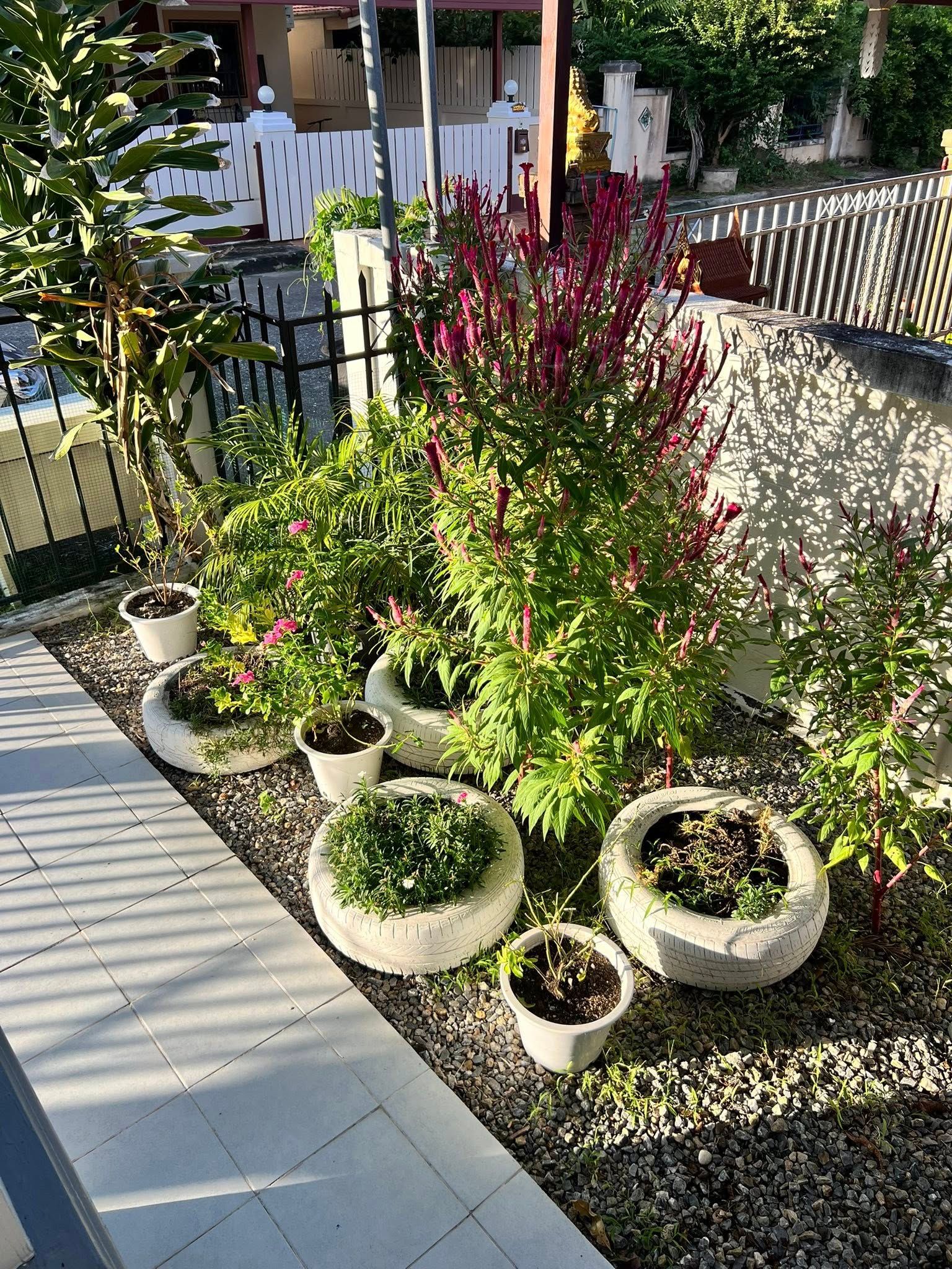 uploads/fd6bd717-700b-4a1c-8bbd-e097bbce9e68/5d2f3a20-3610-41b7-ba31-153e84140057