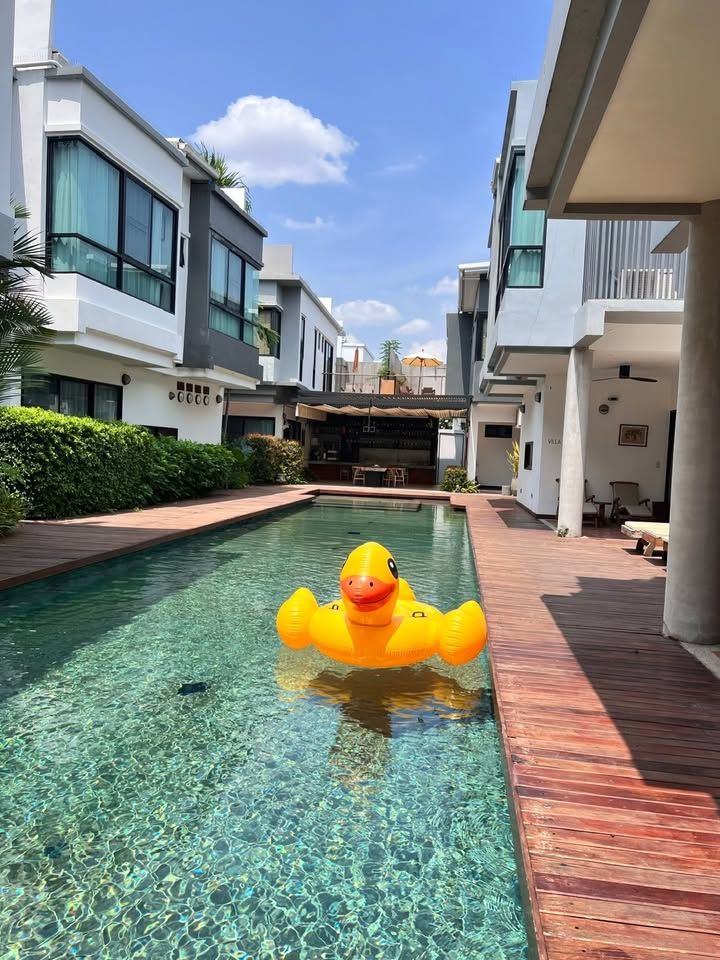 uploads/fd6bd717-700b-4a1c-8bbd-e097bbce9e68/797bc2ac-b4d9-40f8-818c-550f6db63089