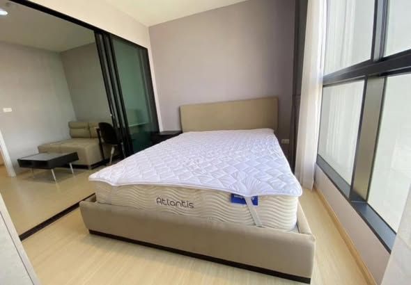 Rise Rama 9 - Image 2