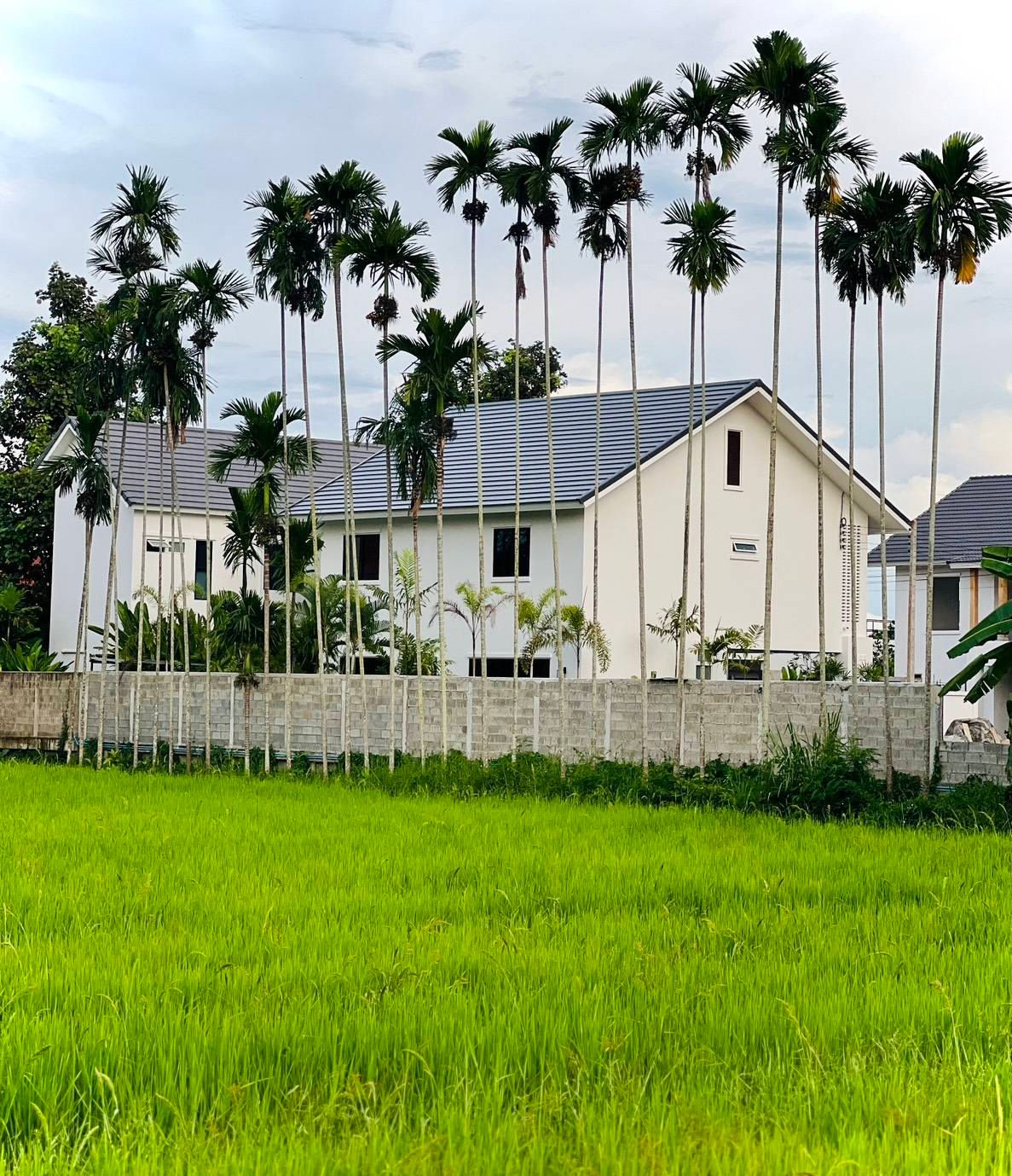 uploads/fd6bd717-700b-4a1c-8bbd-e097bbce9e68/8b5319cd-cbd3-4dee-b245-768ff3a5a951