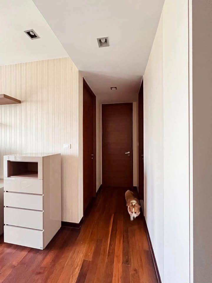 uploads/fd6bd717-700b-4a1c-8bbd-e097bbce9e68/af109f69-d3c2-4161-ba0a-358c229aa4ae