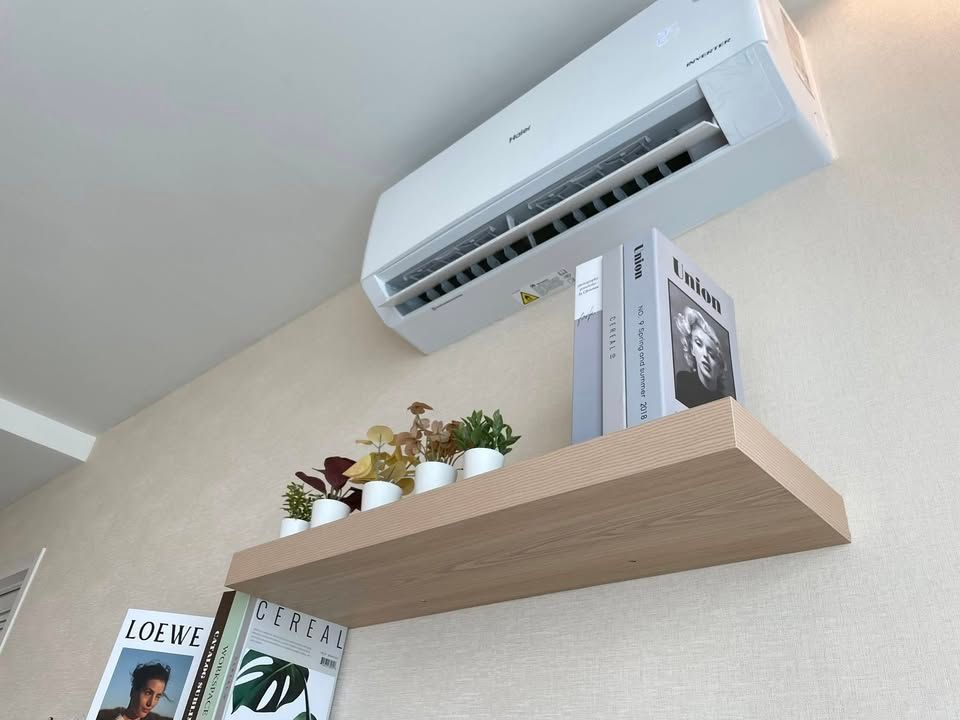 ที.ซี. กรีน - Image 8