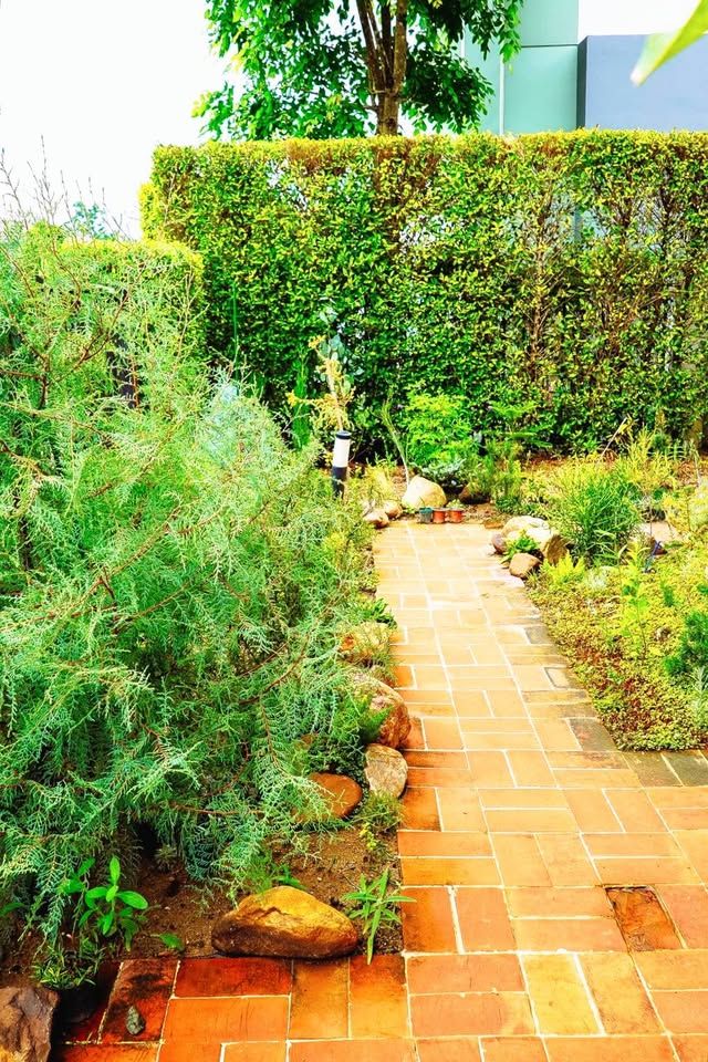 3 Bedroom House For Rent in Pa Phai, San Sai, Chiang Mai - Image 20