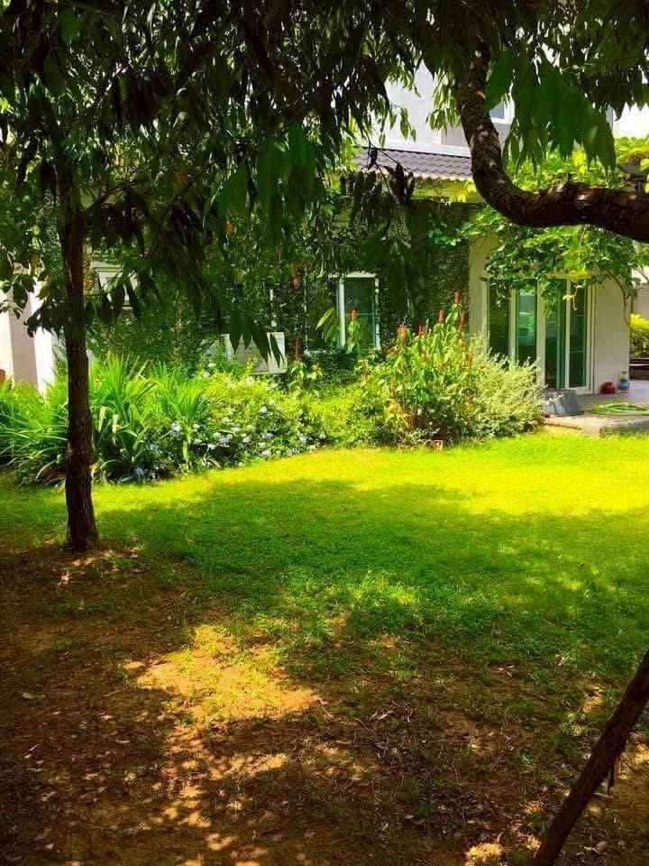 5 卧室 独立房屋 出租 在  - Image 17