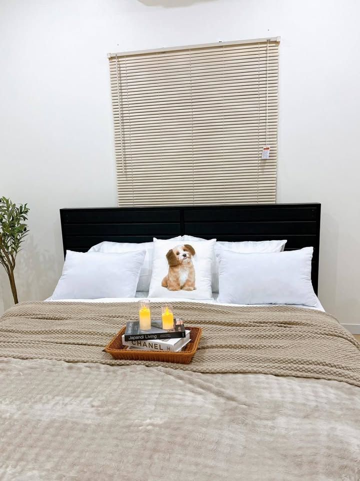 uploads/fd6bd717-700b-4a1c-8bbd-e097bbce9e68/ccbc2d05-a268-4aa6-87b6-b6fdf61f7d37