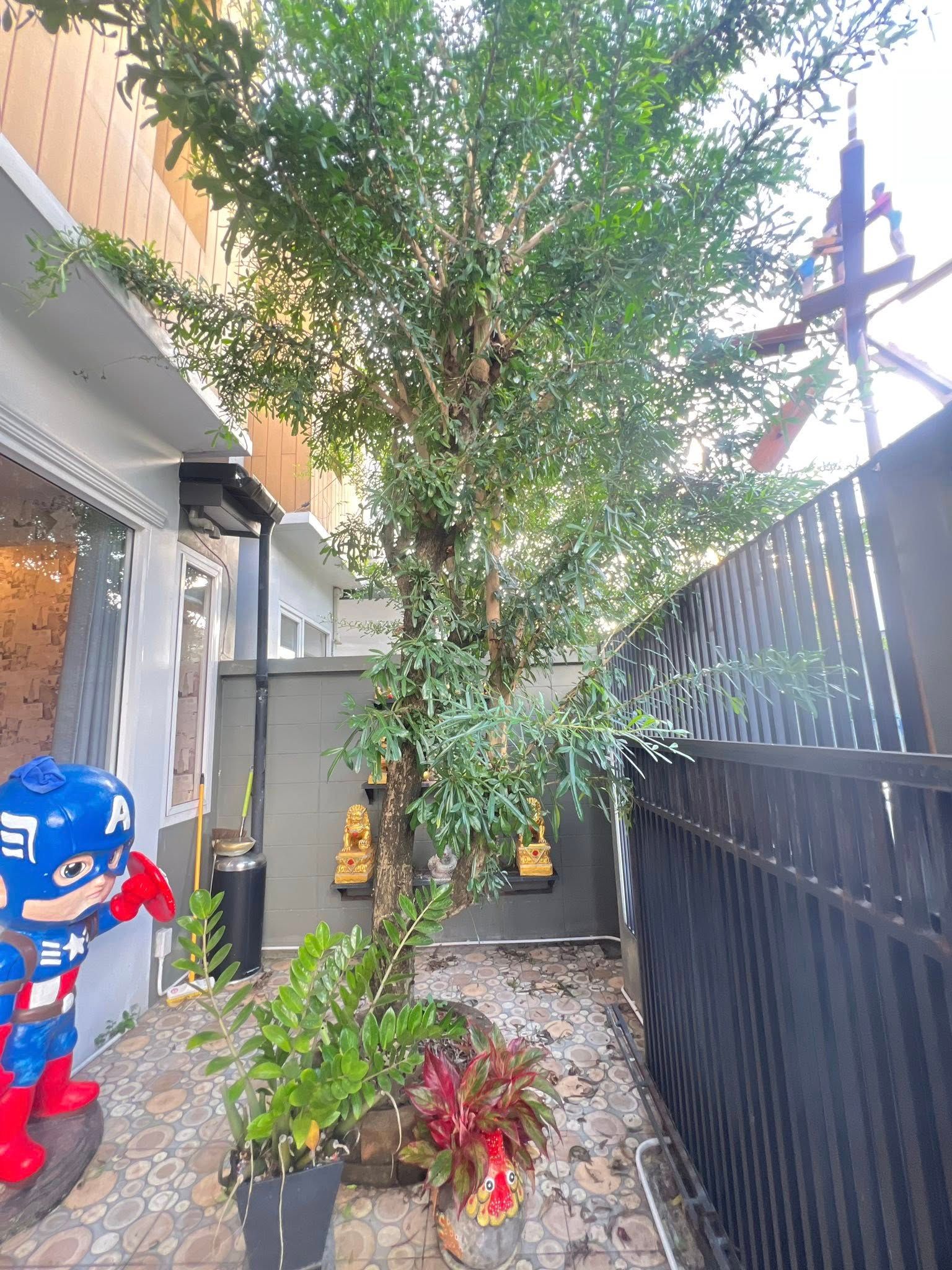 uploads/fd6bd717-700b-4a1c-8bbd-e097bbce9e68/d5ceb9c6-9369-4d8c-b5a3-49e7ede5bf6d