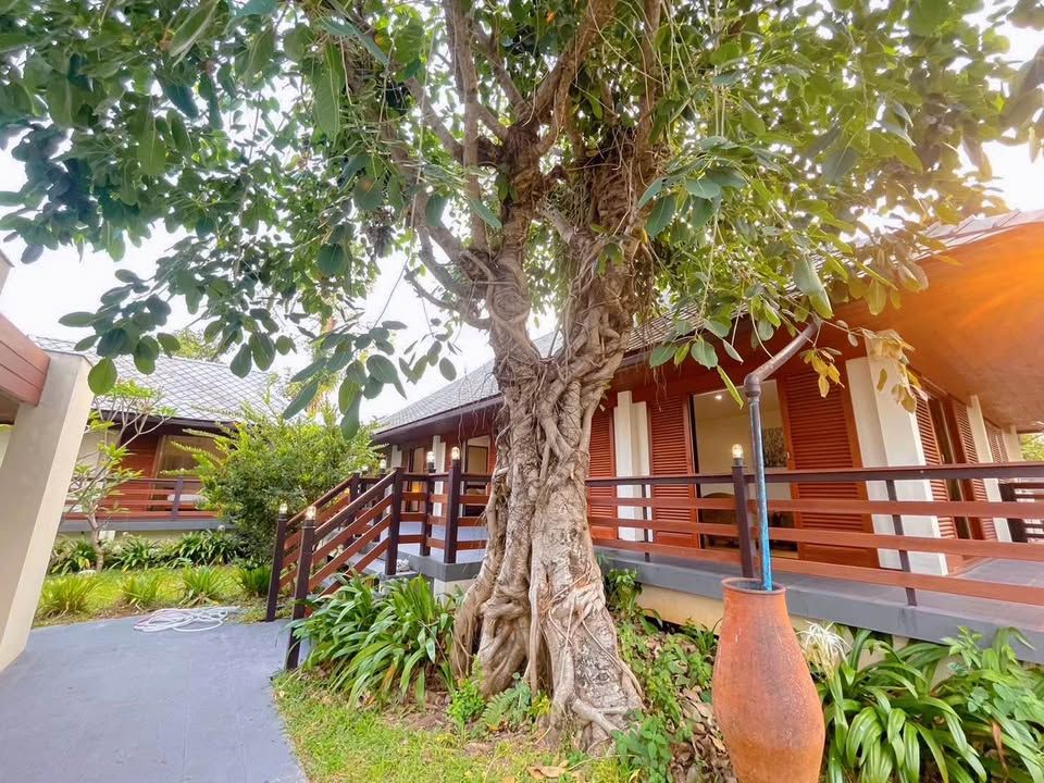 uploads/fd6bd717-700b-4a1c-8bbd-e097bbce9e68/df816565-cccd-4029-9ea2-8e9f87533f08