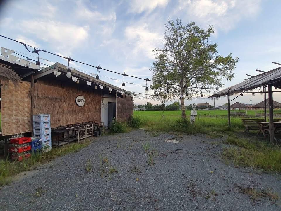 4 Bedroom House For Rent in Samran Rat, Doi Saket, Chiang Mai - Image 13